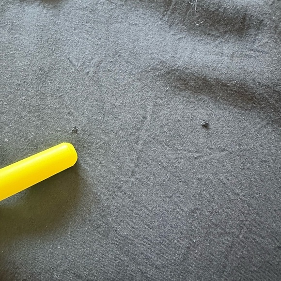 LOFT Capsleeve Summer Mini Dress with Decorative Tassels (Size XS) - Picture 9 of 10